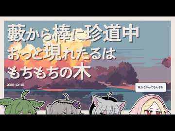 【日記】藪から棒に珍道中 おっと現れたるはもちもちの木