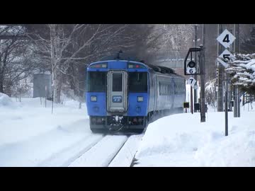 無何有何大雪花