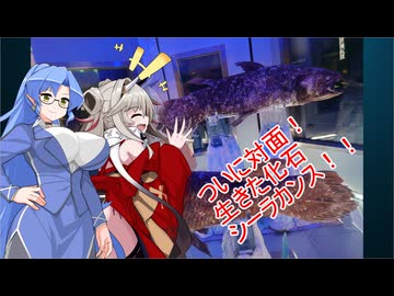 蓮鬼ねむ Raid ON ! With 後鬼　ついに対面！生きた化石シーラカンス　4億年絶えない生存戦略の秘密！？