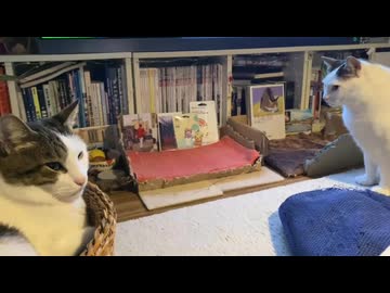 超人気スポット347秒