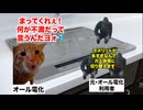 【オール電化】安物買いの銭失い！？オール電化からガス併用への切り替えが急増してる理由 #猫マニ #猫ミーム