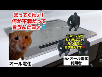 【オール電化】安物買いの銭失い！？オール電化からガス併用への切り替えが急増してる理由 #猫マニ #猫ミーム