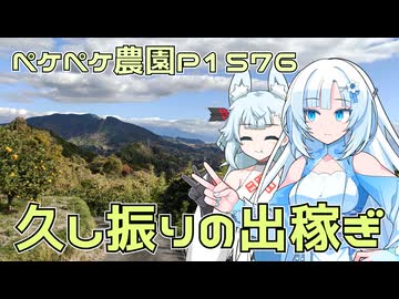 2025年12月16日　農作業日誌P1576　久しぶりのみかん屋さんへの出稼ぎに行ってくるよ