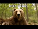 ホモと見るyoutuberと化したクマ
