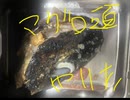 マグロ　あたま　塩焼き　グリル　料理　作ってみた