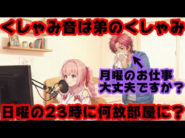 さくらみこ「くしゃみしたのは弟」←日曜日の23時の配信部屋に弟…？【おとち/みこち/ホロライブ/カバー株式会社/VTuber】