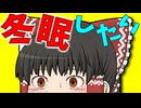 【ゆっくり茶番】寒い！コタツで冬眠したい霊夢！