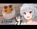 【走り屋花梨パイセン！】カービィのエアライダー #3.5