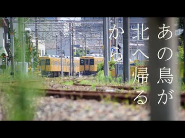 【花隈千冬投稿祭2025冬】あの鳥が北へ帰るから【ソフトウェアトークVlog】