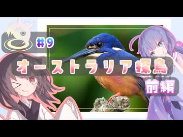 きりたんちょう #9 オーストラリア探鳥・前編 【ウナきり探鳥】