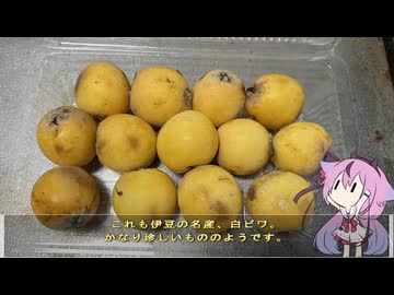 珍食材お買い物旅！#38　25/4-6まとめ編