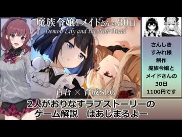 魔族令嬢とメイドさんの30日 解説動画【Demon Lily and the Noir Maid】