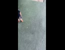 知らん