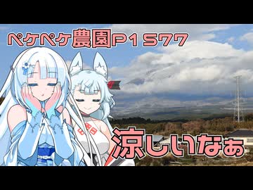 2025年12月17日　農作業日誌P1577　少しづつでも畑を耕してきれいにしていくよ