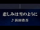 練習用カラオケ♬ 悲しみは雪のように - 浜田省吾 【ガイドメロディ付】 インスト, BGM, 歌詞 ふりがな