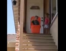 やじゅまんと見る箱入り