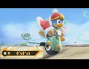 【カービィのエアライダー】FR アイルーン ウィリースクーター デデデ大王  0'48''68 Ver. 1.2.0