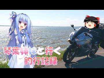 琴葉姉妹と行く釣行記録（車載編part36 72）