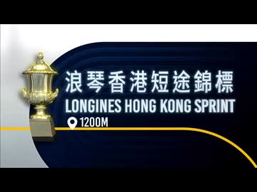 【ウマ娘風】第27回GⅠ香港スプリント(シャティン・2025)