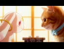 猫同士！？の素敵なお見合い　#猫 #ジョジョ #魔法少女