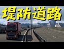 【Euro Truck Simulator 2】ペーパー歴10年が DLC「Beyond the Baltic Sea」でロシア観光（#440）【実況プレイ】
