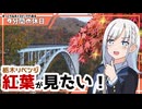 【ゆっくりボイスピ車載】栃木紅葉リベンジ～後編～【9分間の休日】