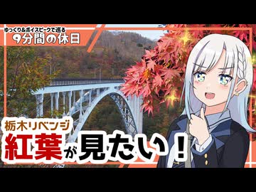 【ゆっくりボイスピ車載】栃木紅葉リベンジ～後編～【9分間の休日】