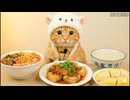 ホモと見るASMR配信者と化した猫