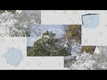 触れたぶんだけ / 初音ミク