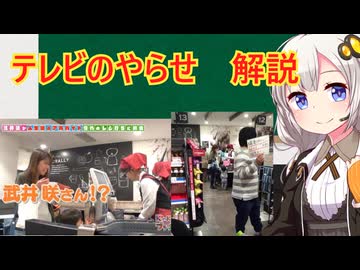 バレてしまったテレビのやらせ　解説