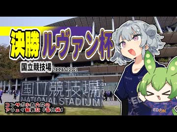 【ルヴァンカップ決勝】コンサポ小春六花のアウェイ観戦記#番外編4【サンフレッチェ広島/柏レイソル】