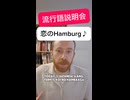 マッコーリー大学グローバル文化言語学科長による恋のHamburg♪解説