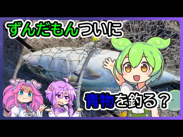 ずんだもんが釣った（？）魚でブリ丼【料理/VOICEROID】