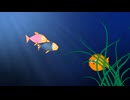 米田健太郎 × アクアライフ｜水中を優雅に泳ぐ魚たちを高画質で体感