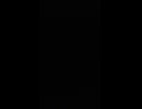 VID_20251219_013519