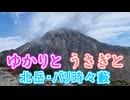 【リアル登山アタック】ゆかりとうさぎと北岳・バリ時々藪【結月ゆかり誕生祭2025】