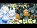 2025年12月19日　農作業日誌P1579　出稼ぎが続き、いろいろなみかんを収穫し始める