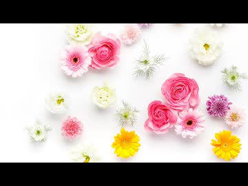 子安武人×中村悠一