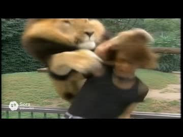 【再】偽拓也のCM集②+不祥事.mp10