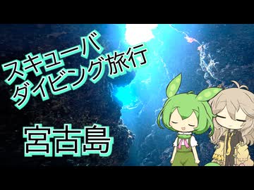 【VOICEVOX旅行】スキューバダイビング旅行at宮古島