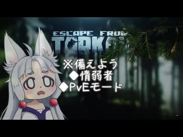 【EFT】出稼ぎイタコのタルコフ散歩