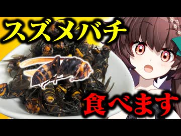 【閲覧注意】オオスズメバチをサンドイッチにして食べてみた！ヤバすぎる食感に震えが止まらなくなるVtuber【Vtuber/切り抜き】
