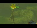 【ブレワイ】依頼を受けて、空中に浮いたコログの花にお触りしてみた【ドリカラ】【ブレスオブザワイルド,ボイスピ実況,ゼルダの伝説,BotW,バグ,検証 】