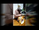 アンパンマンドラムでナイトオブナイツ叩いてみた
