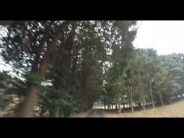 君津の英国