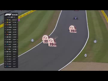 スピキとレース