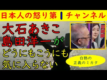 【大石あきこvs島田洋一】正義のミカタでどうにもこうにも気に入らない「なんやこのおっさん」と思っているとしか見えない（笑