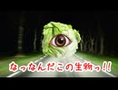 キャ…キャベツ…?『夜道』