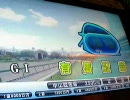 【ジョッキー鷹】鷹が馬にも乗ってみた・HORSERIDERS日記【7】