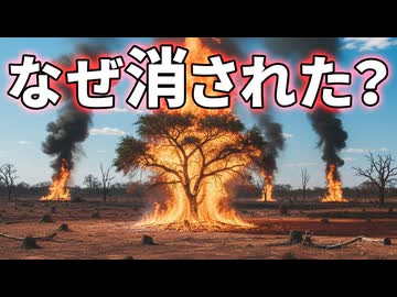 北米で最も甘い豆が食卓から消えた理由【メスキート】